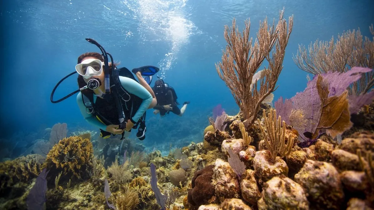 Scuba diver underwater