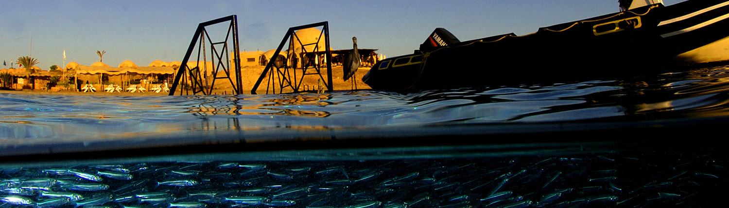 Marsa Alam Dive Sites