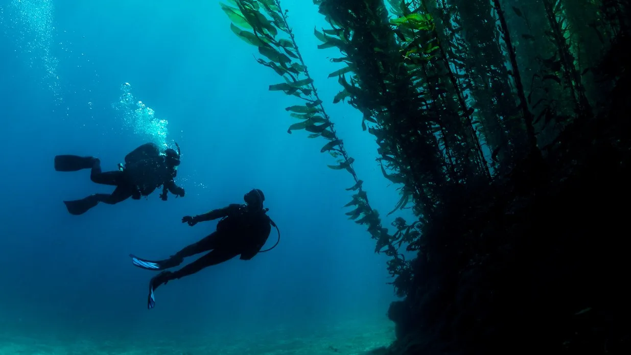 PADI Deep Diver Specialty